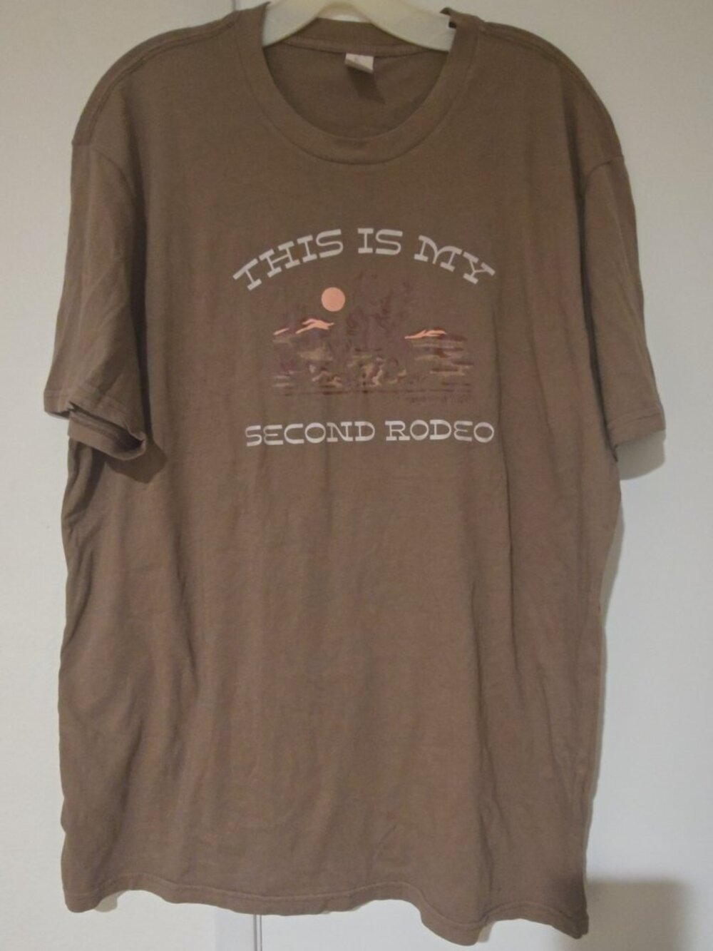 "This Is My Second Rodeo" Funny Western Graphic T-Shirt - District - Men's L - T